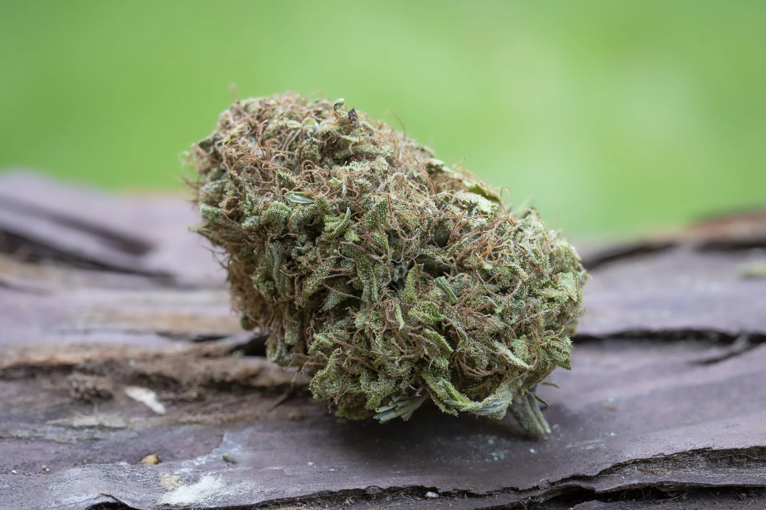 Products — Farm Cut